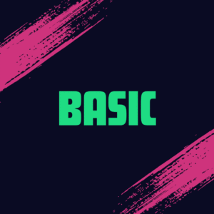 Basic Subscription